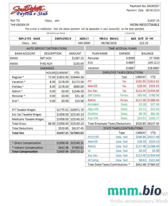 USA South Dakota payroll e-stub word and pdf